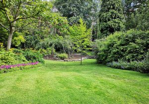 Optimiser l'expérience du jardin à Boussieres-en-Cambresis